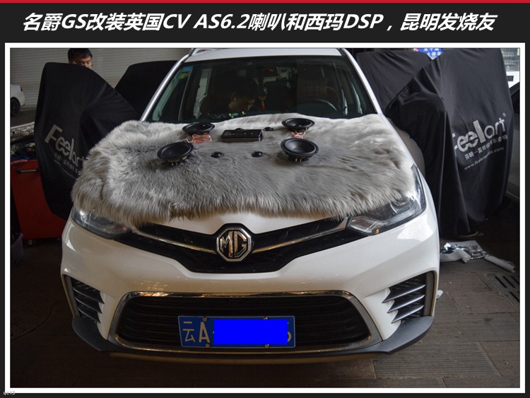 GS܇푸bӢCVȺDSPl܇